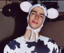 vache !