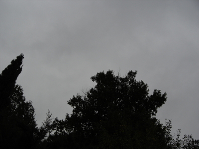 Dsc00274_1