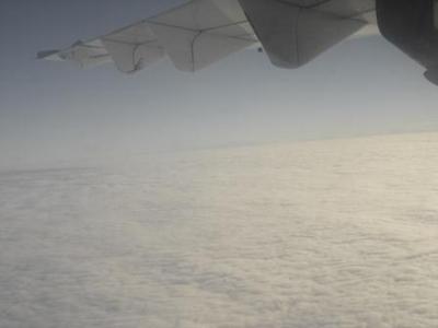 Eddy_en_avion